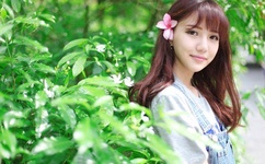 18款免费无限次数禁用软件